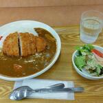 小さな食堂 ヒロ - カツカレー (税込)650円 (2022.10.03)