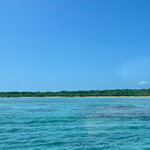 そば処 竹の子 - 