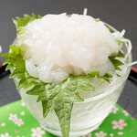 White shrimp sashimi