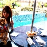 ヒルトップ カシータ - 