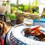 ヒルトップ カシータ - 