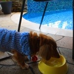 ヒルトップ カシータ - 