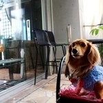 ヒルトップ カシータ - 