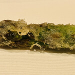 ぬま田 - アスパラ(穂先)