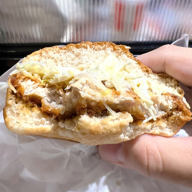 ケンタ屋 ダイケン物置ガーデンハウス DM-Z2515-G 豪雪型・棚板付 幅2608×奥行