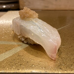 梅田 鮨 よこ田 - ハタ！オオモンハタ？？ちょっと時期が違うしなんだろう？？でもクエにも匹敵するような大変美味しいお魚でした！おかわりしたいw