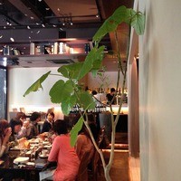 カレス - 