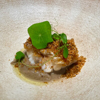 日本のイタリア料理店 sai - 牛蒡のクレーマ　甘鯛の鱗焼