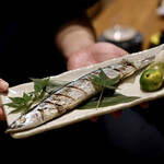 さくら 鳥居坂 - 