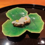 らん亭～ 美日庵 - 鱸の腹身の焼霜造り