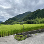 Mishima Seimenjo - ちょうど稲が実ってきた頃。風光明媚な風景が広がります！