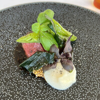 MAISON LAFITE - 