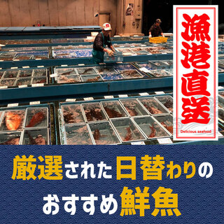 漁港直送！数量限定の日替わり鮮魚！