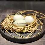 シュヴァル・ドゥ・ヒョータン - 棚原さんの青い卵“アローカナ”。