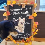 愛犬お宿 伊豆高原 - 