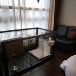 愛犬お宿 伊豆高原 - 