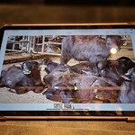 シュヴァル・ドゥ・ヒョータン - 生産者さんの説明の時にタブレットで画像を見せてくれます。分かりやすく、楽しく、没頭してしまう…