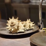 シュヴァル・ドゥ・ヒョータン - 大原漁港のサザエ