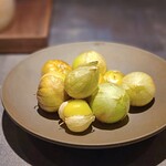 シュヴァル・ドゥ・ヒョータン - トマティーヨという南米原産のトマト。サルサソースには欠かせないトマトだそうで苗目さんから頂いたそうです。