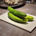 シュヴァル・ドゥ・ヒョータン - 地這い胡瓜　棚原さんの自然栽培。昔ながらの地面に這う栽培方法で柔らかく詰まった実が特徴。