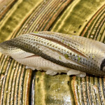 鮨 博多まつもと - 