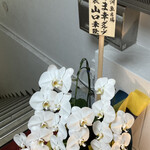 鮨 博多まつもと - 