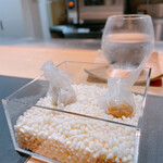 サンプリシテ - 