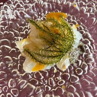 TROIS CUIT ASANUMA - 