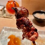 鳥しき - 2022.8.  ちょうちん