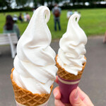 八紘学園 農産物直売所 - 【2022年08月】ソフトクリーム小＠200円、カミさんと。