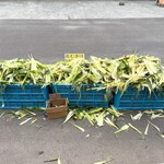 八紘学園 農産物直売所 - 【2022年08月】とうもろこし、皮むき場では、あふれんばかりに皮が。。。(笑)。