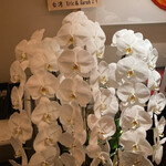 エクアトゥール - 