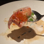 エクアトゥール - 