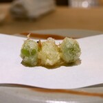 Tempura Kisshou - 