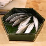 天麩羅　吉祥 - 