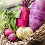 BREEZE BIRD CAFE＆BAKERY - 