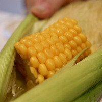 レストラン・モリエール - 