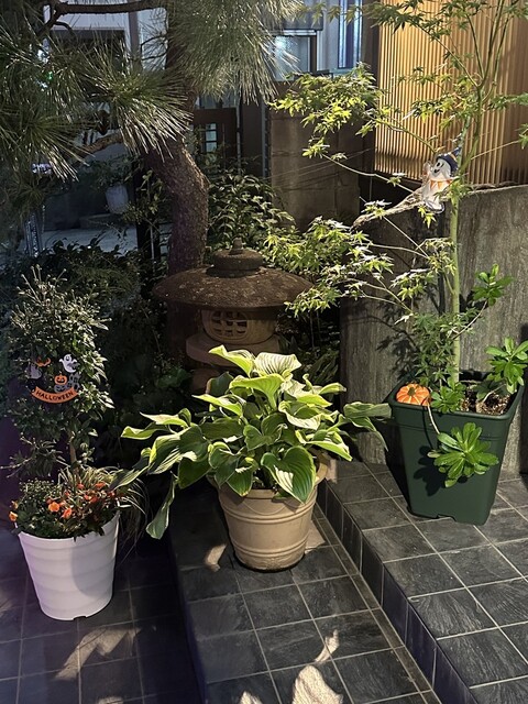 Aoi Zushi Hon Ten photo 3