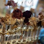 フェリチッシモ クーマ - 