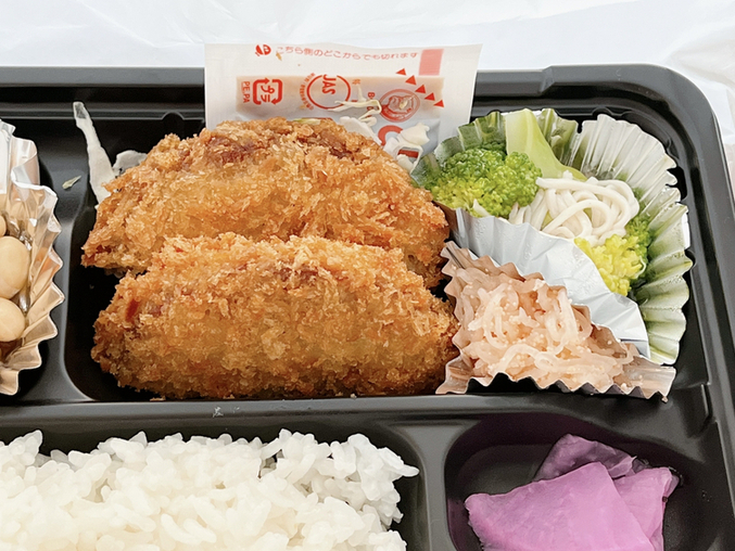 持ち歩きペラペラ和歌山弁 マエオカテツヤ （テレビ和歌山