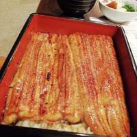 鰻 十和田 - 