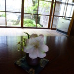 玄 - 坪庭が見えます♪