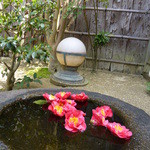 玄 - ここにも、椿☆☆☆