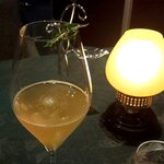 SALONE 2007 - ジンジャーエール（2022.8）