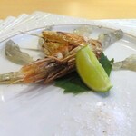 Sushi Toku - 海老昆布締め薄造り　海老頭唐揚げ添え