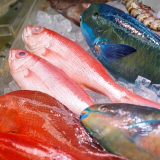 每週的星期二、星期三和星期四是【鮮魚日】喔♪♪