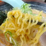 北海道ラーメン 新源 - 麺はやや太めでモッチリ。