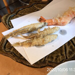 Tempura Sen No Tane - 