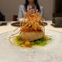TACUBO - 