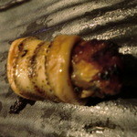 鮨げん家 - ろーさんの指導により方向を変えて撮影w